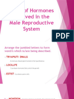 Roles of Hormones Involved in The Male Reproductive