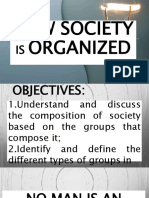 How Society is Organized - Groups Within Society