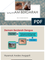 DEMAM BERDARAH oleh dr. nanda FD