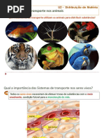 Transporte nos Animais_79c673ec5f95ee3c516923b0e775c975