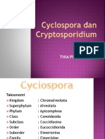 Cyclospora Dan Crytospora