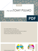 Anatomy pulmo presentation 1