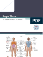 Regio Thorax