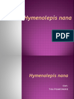 Hymenolepiasis Cacing Usus Manusia