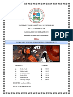 Gestión y Auditoría Ambiental Curtiembre ALCE