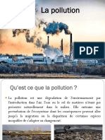 La Pollution 
