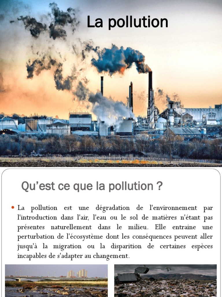 Comprendre la Pollution Environnementale | PDF | la pollution ...