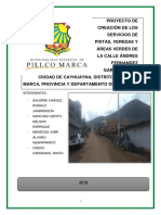 Proyecto de Creación de Pistas, Veredas y Áreas Verdes de La Calle A. Fernández G. de La Localidad de Cayhuayna - Distrito de Pillco Marca, Provincia y Departamento de Huánuco