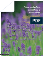 multiplicar hierbas medicinales INTA.pdf