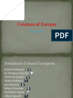 Cetatean al Europei