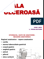 Boala Ulceroasa - Curs - L.Tofan