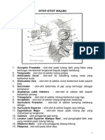 Isometrik (2).pdf