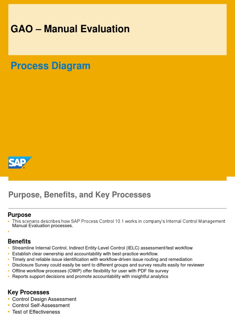ManualProcess Overview | PDF | Internal Control | Computing