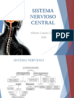 Sistema Nervios Central-DEFINITIVO