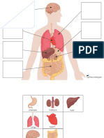 free_Body Organs Matching & Puzzles.pdf