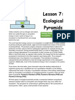 Lesson 6 Ecological Pyramids