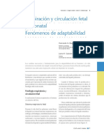 circulacion fetalprecop.pdf