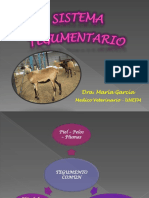 Tegumento Dra Maria Garcia PDF