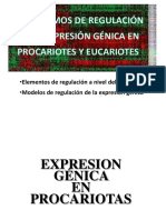 ExpresionGenica-BiolMol-alumnos - PDF Versión 1 PDF