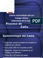 Presentacin de Proceso Cacu