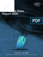 WEF Global Risk Report 2020 PDF