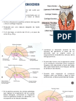 Histologia