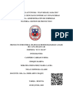 Proyecto Bolsitas PDF