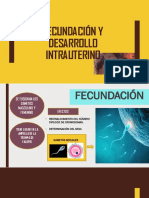 Desarrollo embrionario y fetal en