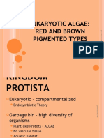BOT 3: Eukaryotic Algae (Red and Brown Algae)