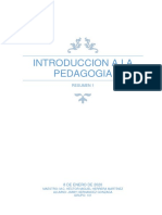 Introduccion A La Pedagogia Resumen 1 La Practica Profesional Del Pedagogo