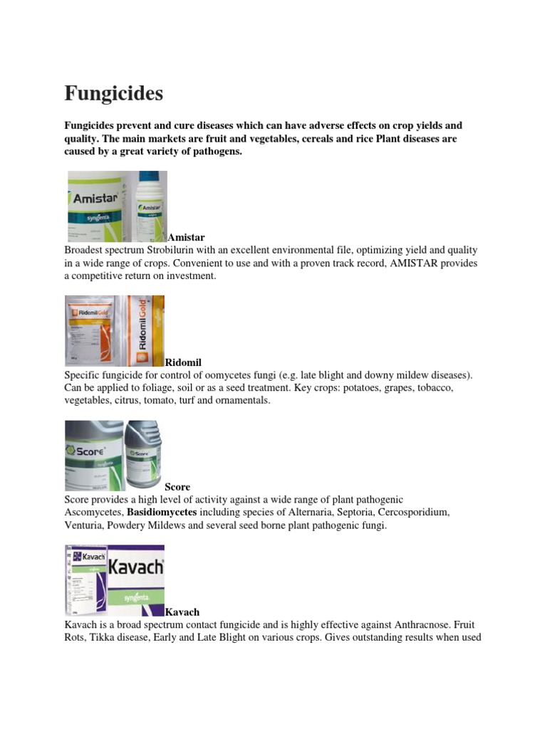 An Overview of Key Fungicides Properties, Uses, and Effectiveness