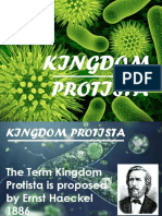 Kingdom Protista Presentation - 2