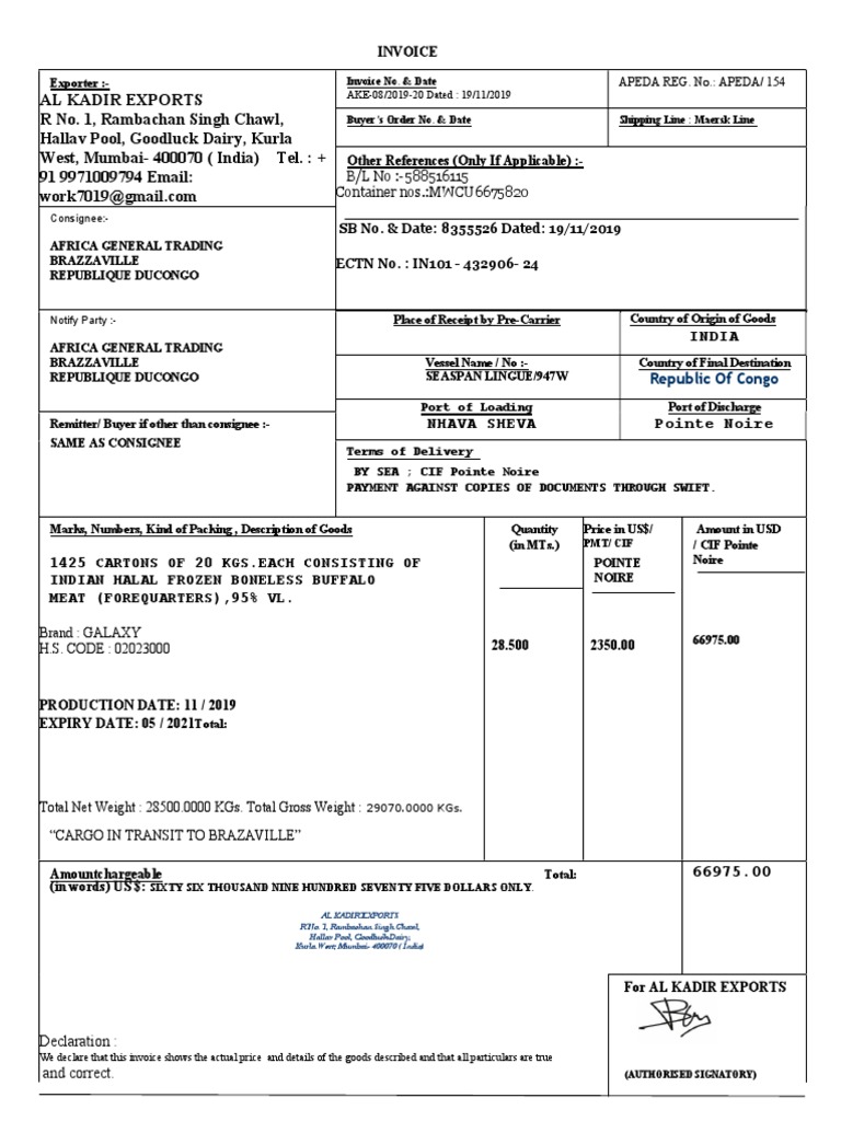 Invoice for Frozen Buffalo Meat Export | PDF | Invoice | Trade