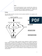 Anaerobic Biodegradation