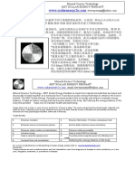 火山能量石挂 chinese & english 2010