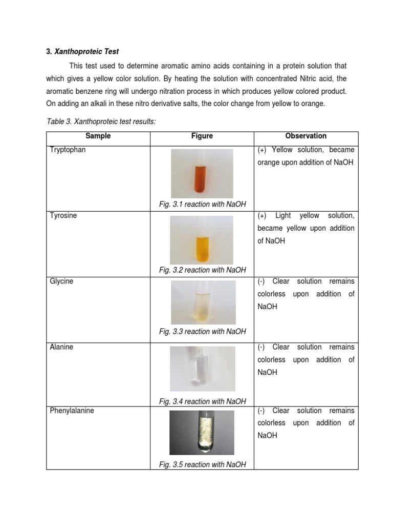 Xanthoproteic Test Download Free PDF Chemical Reactions Sodium