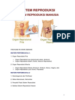 Anfis Sistem-Reproduksi.pdf