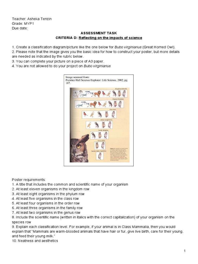 MYP1 Science Classification Project Guide | PDF | Genus | Taxonomy ...