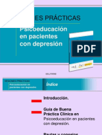Sesiones Prácticas Psicoeducación en Pacientes Con Depresión