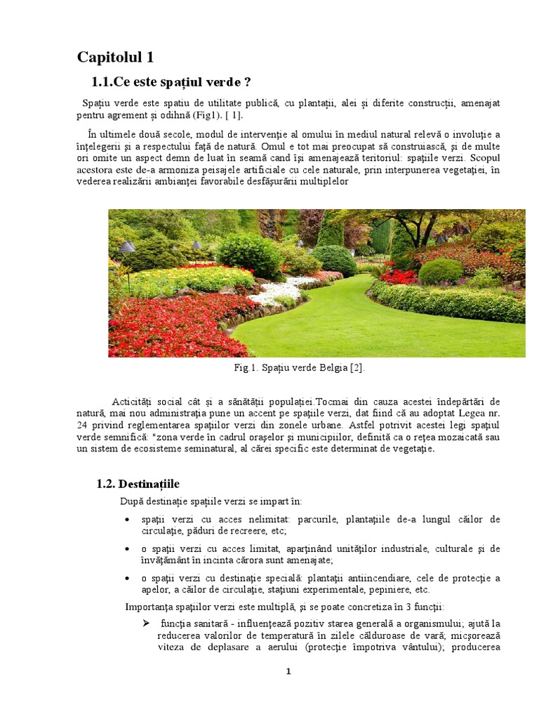 Proiect Ecologizare | PDF
