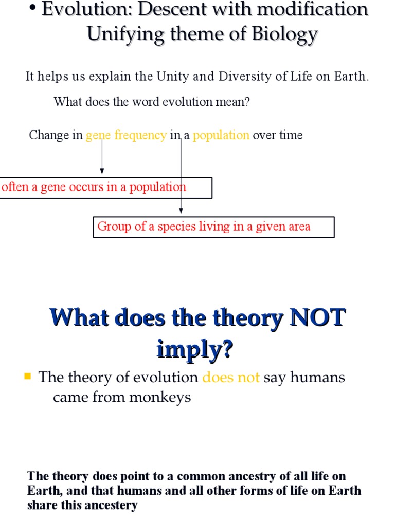 Understanding Evolution and Natural Selection | PDF | Natural Selection ...