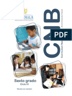 6o grado CNB Nivel de Educación Primaria.pdf