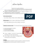 O sistema digestivo e suas funções