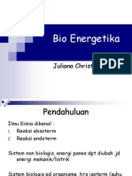 Bio Energetika