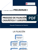 Sesión 4 Casuística en El Proceso de Filiación