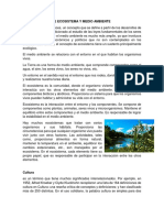 Diferencias Entre Ecosistema y Medio Ambiente