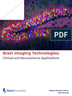 primer-brain-imaging-technologies-grants-jul-2019