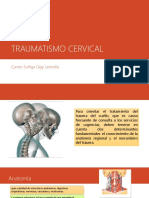 Traumatismo Cervical