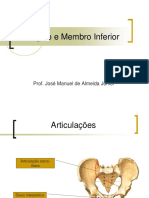 Anatomia do cíngulo e membro inferior