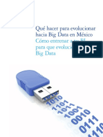 QueHacerParaBigDataEnMexico.pdf